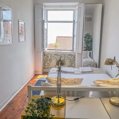 Pensión As A Local! Santos Historical Iv